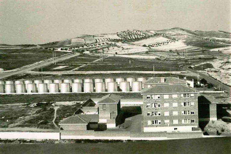 Artículo VII Baena Despoblamiento