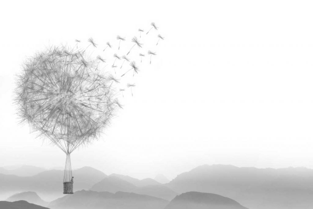 La única verdad por Ediciones Tambriz